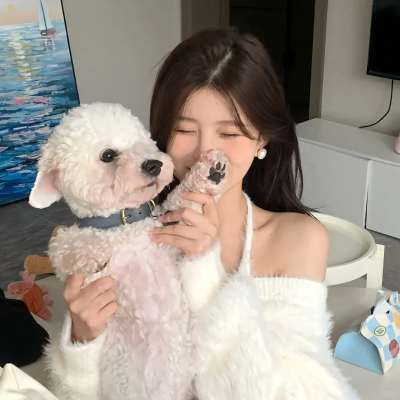 空中浩劫第二十四季