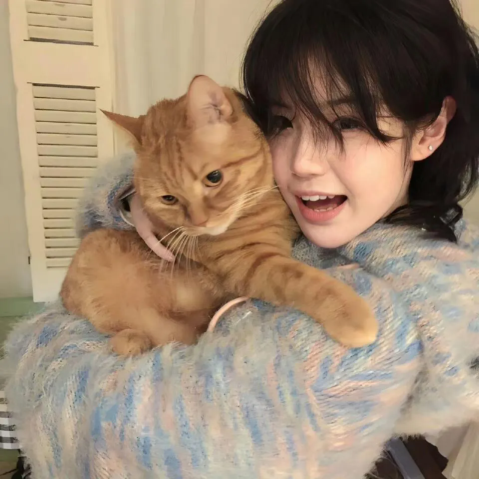 隔离区2:终点站